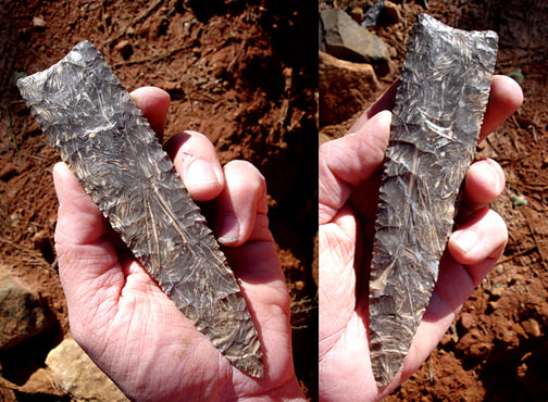 Clovis of Petrified Grass from Madagasar