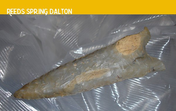 Dalton made of Reeds Spring Chert