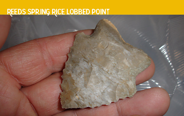 Rice Lobbed point of Reeds Spring chert