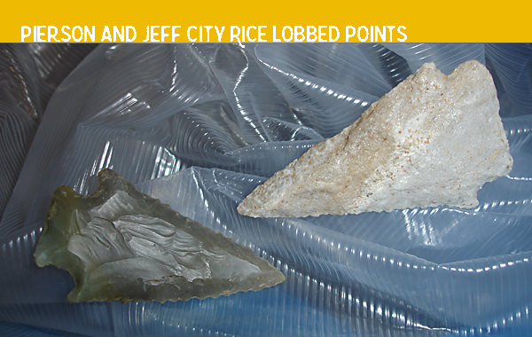 Rice Lobbed points
